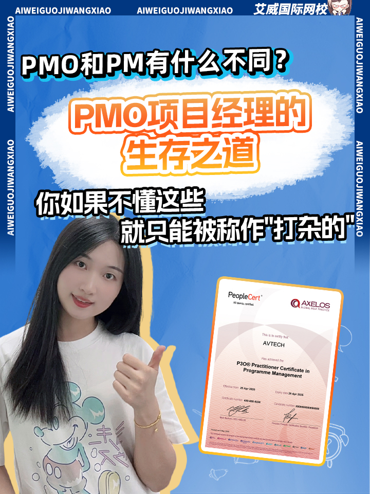 PMO和PM有什么不同?PMO项目经理的生存之道:你如果不懂这些，就只能被称作"打杂的"